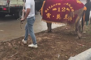 科比大女儿娜塔莉亚·布莱恩特亮相巴黎时装周，别说挺有故人风范